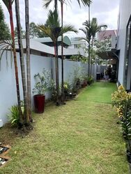 Haigsville Drive (D15), Semi-Detached #594602161